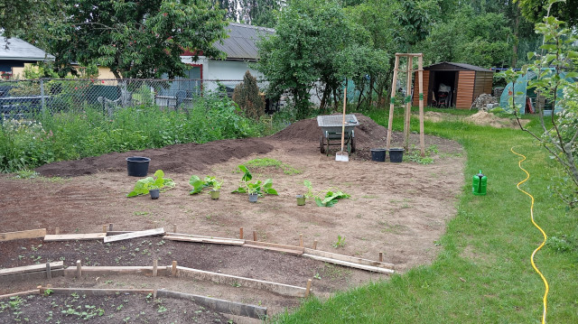 Die Abbildung zeigt eine Beetanlage in dem ökologischen Projektgarten der CUBA gGmbH in der Wittestraße 54 in Berlin-Reinickendorf. Im Vordergrund befindet sich das Beet und im Hintergrund ein Geräteschuppen und ein Gewächshaus.  