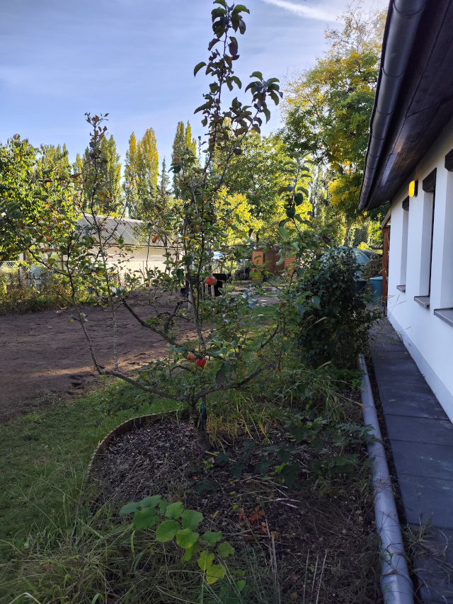 Im Vordergrund befindet sich ein neugeplanzter Apfelbaum und links daneben eine entsiegelte Gartenfläche. Rechts von dem Baum ist die Außenmauer des Gartenhauses abgebildet. Im Hintergrund links befindet sich ein Geräteschuppen und rechts ein Gewächshaus. Links im Hintergrund befindet sich das Gartenhaus des Nachbargrundstücks.